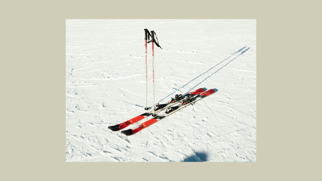 leyu团队-《大西洋月刊》丨加州最惨烈雪崩背后的致命抉择